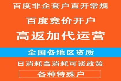 百度竞价包年全解析：成功案例分享